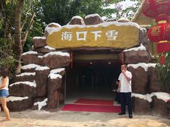 -万绿园