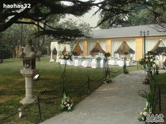 草坪-上海瑞金洲际酒店