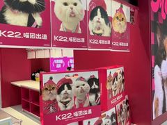 -K22.酸奶草莓(长春上海路万达店)