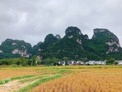 -明仕田园