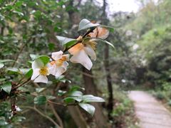 -吃香喝辣·地道衡东菜(南岳大庙店)