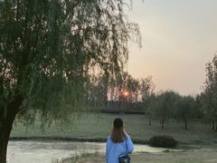 -两河城市森林公园
