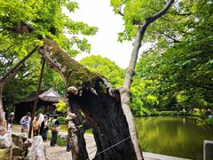 -绮园景区