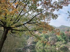 -九如山休闲旅游度假区