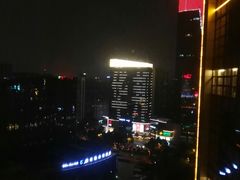 -天鹅湖大酒店