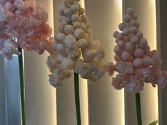 -PARFUM FLORAL花境法餐(南京首店)