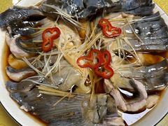 -煲来饱去冷水鱼