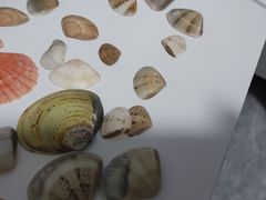-南麂列岛