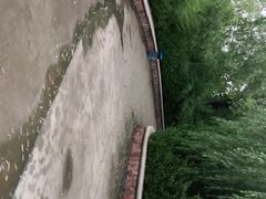 -泰安地下龙宫景区