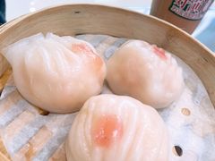 -憶廟街 X 沙角邨(太古城店)