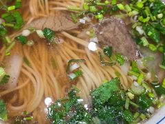 -老马家拉面(碧水花园东南)
