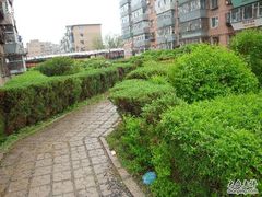 -长春公园(普阳街道)