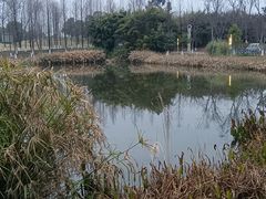 -白鹭湾湿地公园