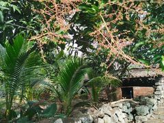 -美亭美榔姐妹塔