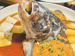 -凤凰湘语(浦东旗舰店)