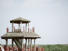 -北海金海湾红树林生态旅游区