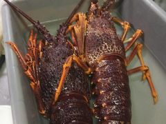 -王四营海鲜市场