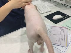 -佳雯宠物医院(金华南路分院)