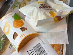 -麦当劳(金平路站店)