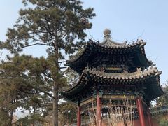 -晋祠公园