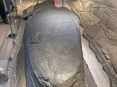 -白鹤梁水下博物馆
