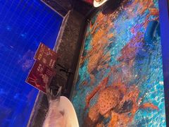 -忆江南·临江鱼馆