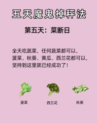 -Fundi张玉珊修身堂·indiba·BTL科技瘦身