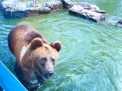 -北京野生动物园