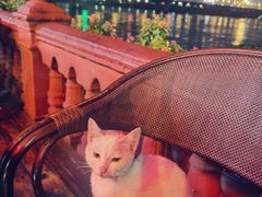 -胡桃里民谣酒馆