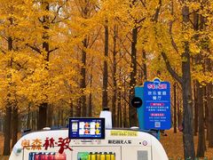 -北京奥林匹克公园