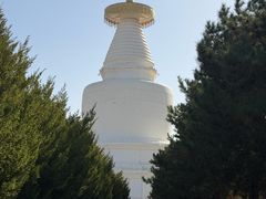 -凉州白塔寺景区