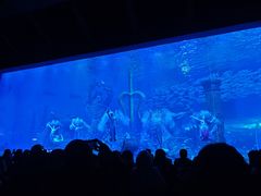 -哈尔滨波塞冬海底世界