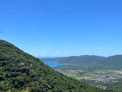 -三亚亚龙湾人间天堂鸟巢度假村