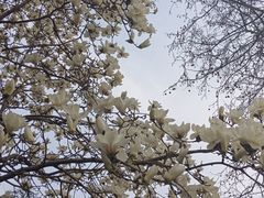 -睦南公园