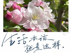 -元大都城垣遗址公园