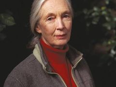 -协和双语学校(虹桥校区)