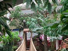 -正佳雨林生态植物园