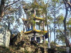 -赭山公园