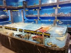 -五谷芳乳鸽王（大梅沙总店C区）(网红打卡店)