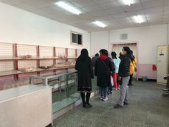 -中关村茶点