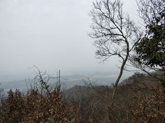 -紫金山山顶公园