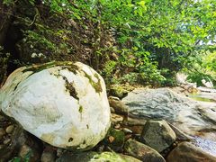 -海南热带雨林国家公园吊罗山景区