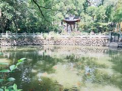 -阿育王寺