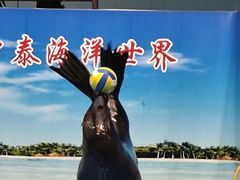 -长春中泰海洋世界