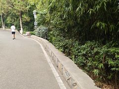 -云龙山
