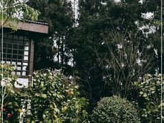 -碧峰峡风景区