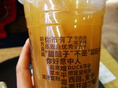 甜醅子绿茶-放哈·甜醅子奶茶创造者(正宁路店)