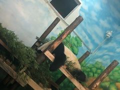 -无锡动物园·太湖欢乐园