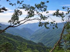 -秦岭风景区