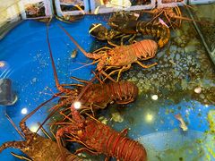 -阿伟海鲜楼·福建菜(涵江店)